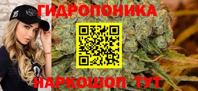 соль ск Можга
