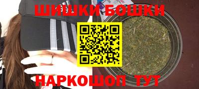 соль ск Можга