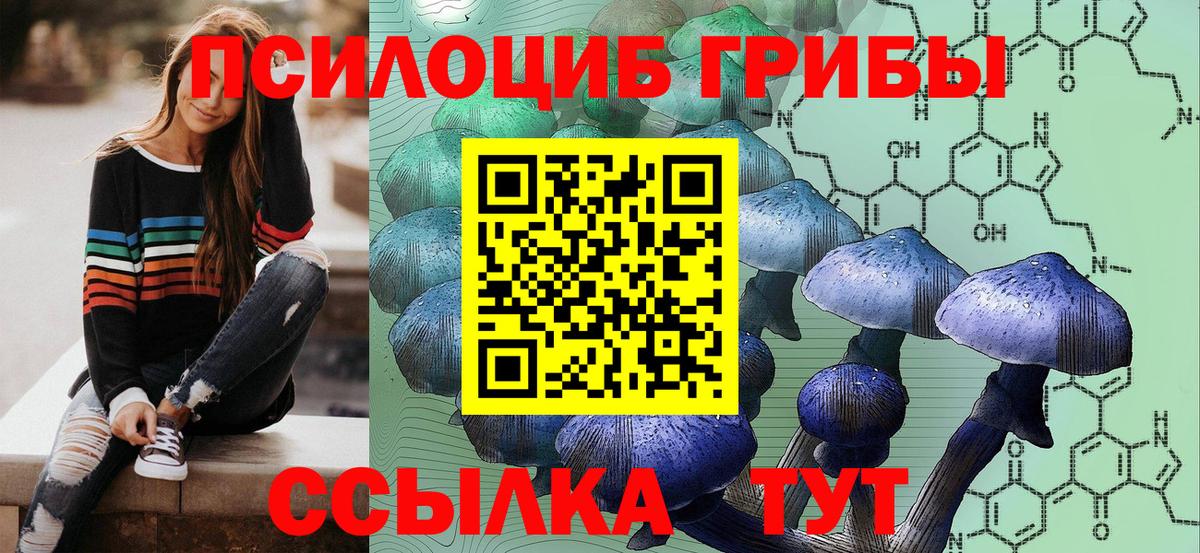 Галлюциногенные грибы ЛСД  Вход с VPN  Тихорецк  Галлюциногенные грибы мухоморы 